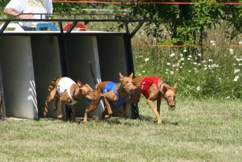 IMG_0835