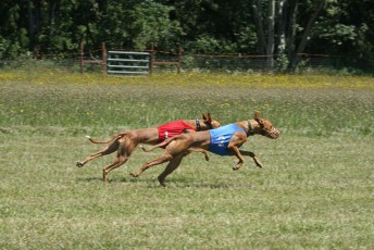 IMG_0843