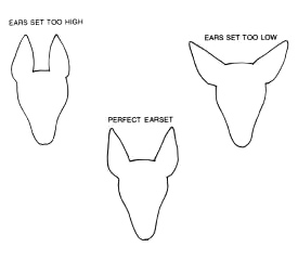 Head earset