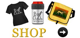 PHCA Store